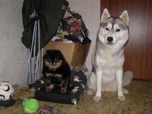 Прикачена снимка