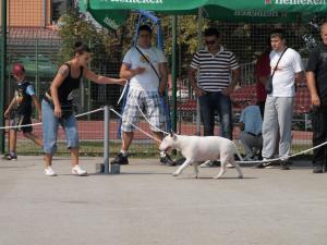 Прикачена снимка