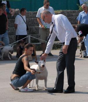 Прикачена снимка