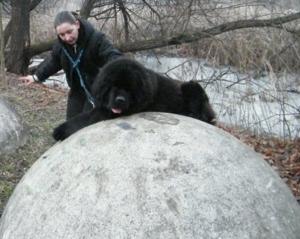 Прикачена снимка