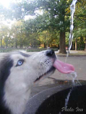 Прикачена снимка