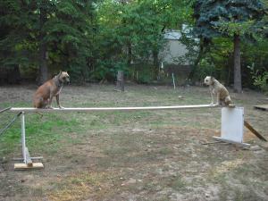 Прикачена снимка