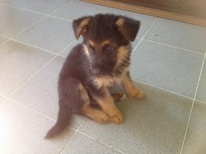Прикачена снимка