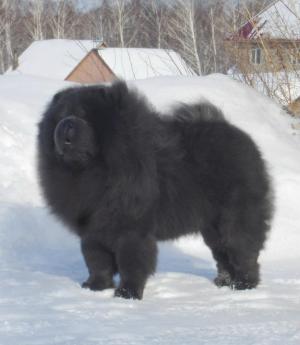 Прикачена снимка