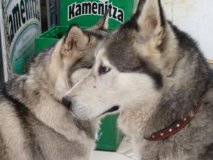 Прикачена снимка