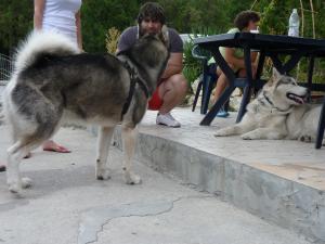 Прикачена снимка