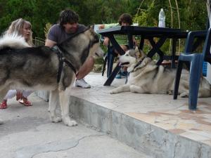 Прикачена снимка