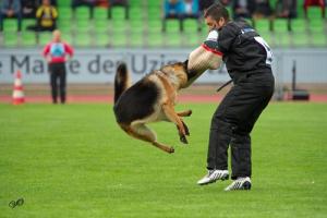 Прикачена снимка