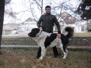 Прикачена снимка