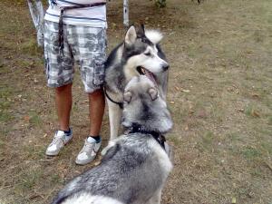 Прикачена снимка