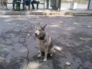 Прикачена снимка