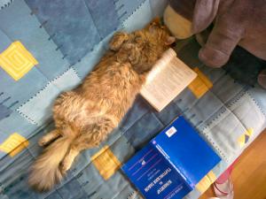 Прикачена снимка