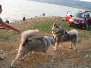 Прикачена снимка