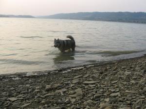 Прикачена снимка