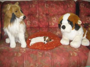 Прикачена снимка