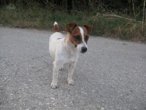 Прикачена снимка