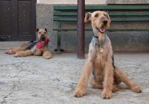 Прикачена снимка