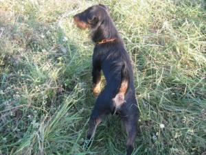 Прикачена снимка