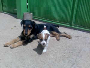 Прикачена снимка