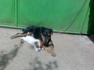 Прикачена снимка