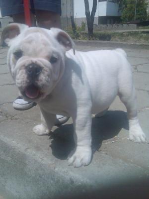 Прикачена снимка