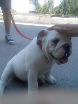 Прикачена снимка