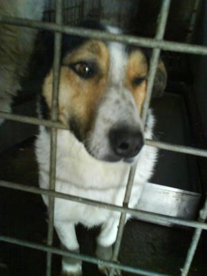 Прикачена снимка