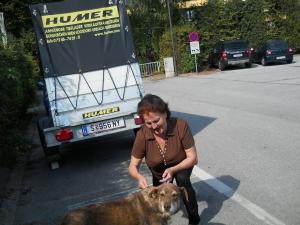 Прикачена снимка