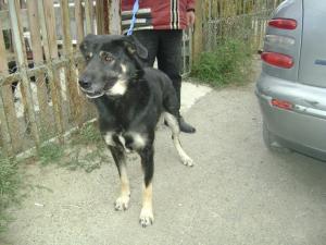 Прикачена снимка