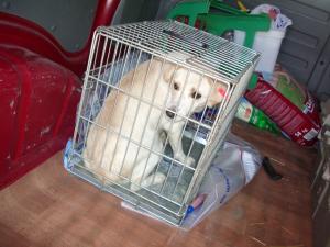 Прикачена снимка