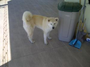 Прикачена снимка