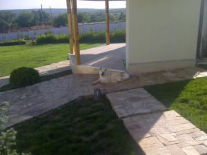 Прикачена снимка