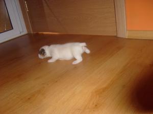 Прикачена снимка