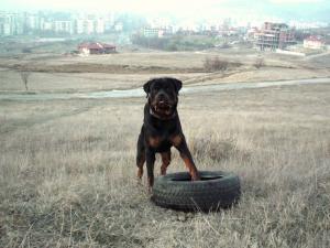 Прикачена снимка
