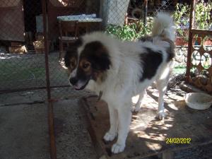 Прикачена снимка