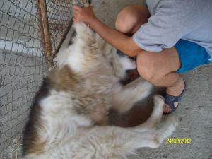 Прикачена снимка