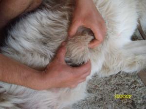 Прикачена снимка