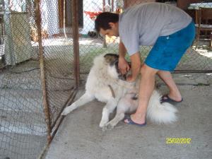 Прикачена снимка