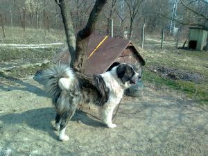 Прикачена снимка