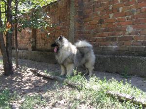 Прикачена снимка