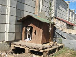 Прикачена снимка