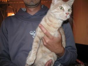 Прикачена снимка