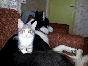 Прикачена снимка