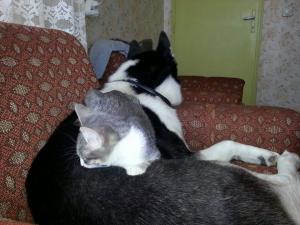 Прикачена снимка