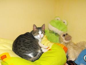 Прикачена снимка