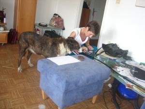 Прикачена снимка