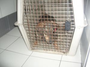 Прикачена снимка