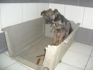 Прикачена снимка