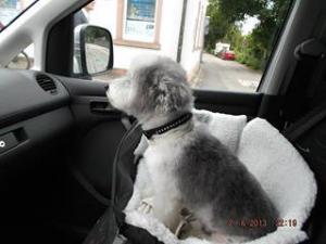 Прикачена снимка