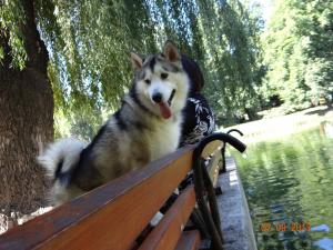 Прикачена снимка